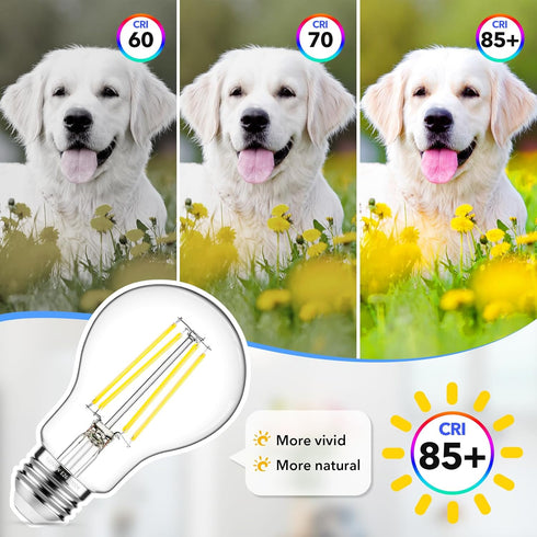 MAXvolador 60W Equivalent E26 LED Filament Light Bulbs, 850LM Daylight White 5000K LED Edison Bulb, Non-Dimmable 6W A19 LED Bulb Medium Base, 4-Pa...