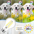 MAXvolador 60W Equivalent E26 LED Filament Light Bulbs, 850LM Daylight White 5000K LED Edison Bulb, Non-Dimmable 6W A19 LED Bulb Medium Base, 4-Pa...