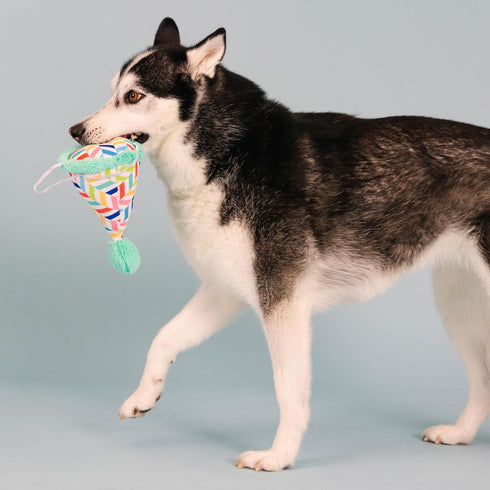 Fringe Studio Plush Dog Toy, Cheers for A Barkday, Pet Shop Collection (314246)...