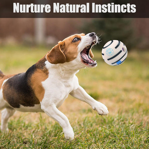 Giggle Ball for Dogs, Interactive Glow Ball Dog Toys, Glow in The Dark Dog Ball Wobble Ball for Small Dogs, Durable Wiggle Ball Dog Toy for Reliev...