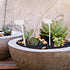 KINGLAKE GARDEN Outdoor Plastic Plant Labels 30 Pack 11.8 inch Outdoor Waterproof Sturdy Nursery Garden Markers,Plant Markers for Herbs,Flowers,Ve...