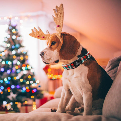 Elegant little tail Christmas Dog Collar, Red Pet Collar Dog Durable Plaid Dog Collars Girl or Boy Holiday Pet Gift Adjustable Dog Collar for Medi...
