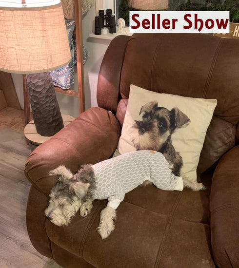 Best Gift Painting Cute Lovely Animals Pet Dog Big Eyes Black Schnauzer Cotton Linen Square Throw Waist Pillow Case Decorative Cushion Cover Pillo...