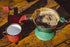 Cafflano Lever Dripper : Smart Dual-mode (Immersion mode, Pour-over mode) Coffee Dripper, Coffee Maker, Eco-friendly ECOZEN (BPA-Free), Portable...
