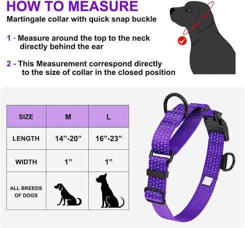 Martingale Dog Collars, Adjustable Reflective Nylon Dog Collar for Training Dogs, No Pull Dog Choker Collar for Medium Large Dogs (L, Purple)...
