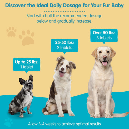 Wanderfound Pets Milk Thistle for Dogs – Tasty Salmon & Bacon Flavored Natural Liver Support for Pets – Kidney Cleanse Detox & Repair Formula Manu...