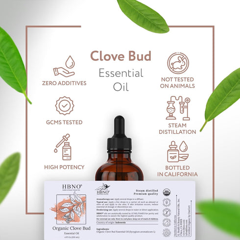 HBNO Organic Clove Bud Essential Oil - 4 oz (120ml) - USDA Certified Organic Clove Bud Essential Oil, Steam Distilled for Aromatherapy, Soap Makin...