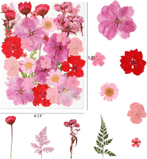 35 Pcs Dried Pressed Flowers for Resin, Pink Real Pressed Flowers Bulk Natural Herbs Kit for Scrapbooking DIY Art Crafts, Epoxy Resin Jewelry Mold...