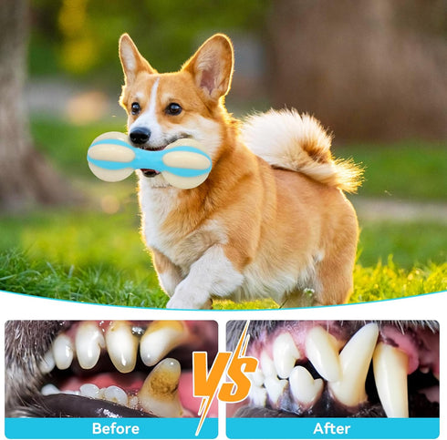 Aggressive Chew Dog Toys, Lasting Dog Toy, Durable Nylon Bone, with Real Bacon pet Toys,Indestructible Bone,Cleaning Teething chewers Dog Toys, fo...