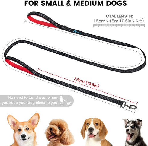PuppyDoggy 2 Pack Dog Leash for Small to Medium Dogs 6 ft with 3 Reflective Stitching and 2 Traffic Padded Handles Dog Lead Rope Pet Leash for Run...