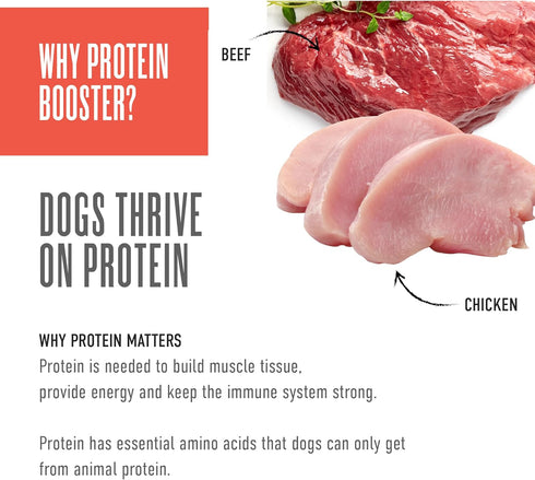 Tiki Dog Born Carnivore Protein Booster Dog Food Topper, Chicken and Beef Recipe in Broth, 2.1 oz. Pouch (12 Count)...