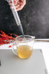 Dexas Fill-A-Baster Refillable Basting Bulb and Brush, Gray, GB3-432...