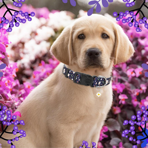 Athbavid Floral Dog Collar, Flower Print Dog Collars with Cute Charm, Adjustable Dog Collars for Small Medium Large Dogs,Pet Girl Boy,Running Walk...