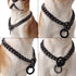 Durable Walking Dog Training Collar, Strong Stainless Steel Chain for Small Middle Dogs Black Color?15mm,18“?...
