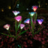 Solar Garden Flower Lights?LED Solar Powered Stake Landscape Lights?Outdoor Waterproof Decorative Lights for Yard,Patio,Lawn,Pathway Decoration (2...
