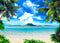 Art Studio Beach Photography Backdrops Ocean Photo Booth Wedding Party Decoration Background Studio Props Vinyl 7x5ft...