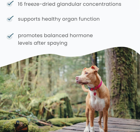 Bark & Whiskers Female Glandular Support, 4 Oz. (113 g), 75 Scoops, Supports Healthy Hormone and Organ Function, Veterinarian Formulated, Non-GMO,...