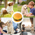 2 Pcs Bite-Resistant Dog Toys Squeaky Chewing Toys Tooth Cleaning Dog Supplies, Golden Retriever Teddy Pets, etc, Dog Training, Sofa Damage Preven...