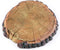 AQUA KT Aquatic Turtle Round Floating Dock Tortoise Bearded Dragon Basking Platform with Suction Cup for Reptile Aquatic Aquarium Decoration...