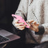 kwmobile Case Compatible with Apple iPhone 11 Case - TPU Silicone Phone Cover with Soft Finish - Light Pink...
