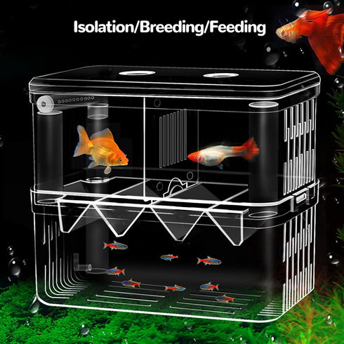 J-star Extra Large Fish Breeder Box, Acrylic Aquarium Breeder Box, Fish Isolation Box for Betta, Guppy, Killifish, Shrimp, Clownfish etc....