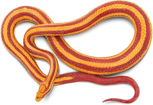 Safari Ltd.Corn Snake Figurine - Lifelike 5.25" Model Figure - Educational Toy for Boys, Girls, and Kids Ages 3+...