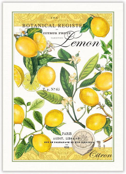 Michel Design Works Kitchen Dish Towel, Lemon Basil...