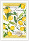 Michel Design Works Kitchen Dish Towel, Lemon Basil...