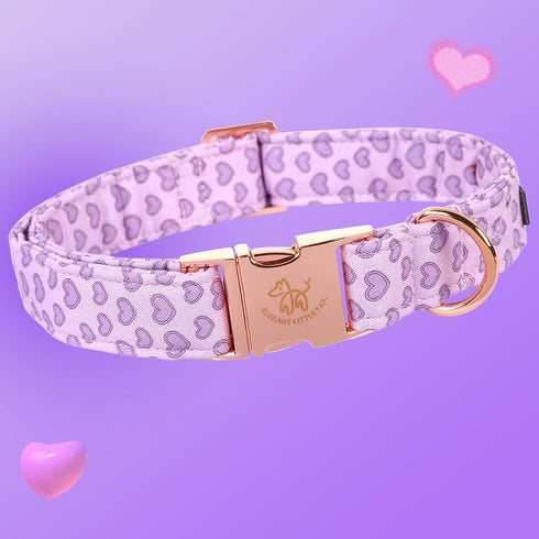 Elegant little tail Dog Collar, Valentine's Day Dog Collar Pet Collar, Purple Heart Dog Collar Cute Girl or Boy Dog Collar Puppy Pet Gift Adjustab...