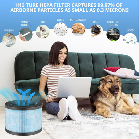 MK01 MK06 DH-JH01 H13 True HEPA Replacement Filter, Compatible with MK01, MK06, ToLife TZ-K1, MG01JH and Kloudi DH-JH01, POMORON MJ001H, Intelabe ...