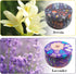 Scented Soy Aromatherapy Candles Gifts for Women, Long Lasting Candles, Premium Body Relax & Stress Relief Candles,Ideal Gifts for Birthday, Chris...