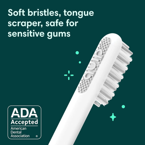 Quip Sonic Toothbrush for Adults - Timed Electric Toothbrush with Cover - Replaceable Brush Head, Soft Bristles, Metal Handle, 3 Month Battery Lif...