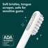 Quip Sonic Toothbrush for Adults - Timed Electric Toothbrush with Cover - Replaceable Brush Head, Soft Bristles, Metal Handle, 3 Month Battery Lif...