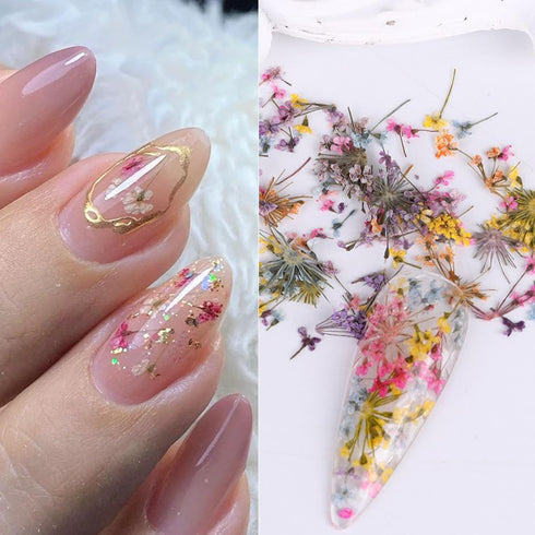 3D Dried Flower for Nails, Flower Nail Art Stickers 1Box Mixed Dried Flowers for Nail Art Resin DIY Crafts Natural Real Dry Flower Decals for Spri...