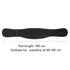 Back Support Lumbar Support Belt Lower Back Brace for Pain Relief Sciatica Herniated Disc Scoliosis Posture Correction Adjustable Mesh Support Str...