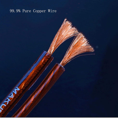 RCA Speaker Cable, Male to Y Plugs (2 Y Plug) OFC HiFi Speaker Cord...
