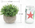 Velener Mini Sage Green Potted Boxwood Topiary Artificial Plants for Home Decor Indoor, Farmhouse House Plant Office Small Desk Shelf Apartment Co...