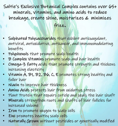 Saltie Sea Kelp Daily Hair Conditioner I Nourish with Sea Weed, Kelp & Algae I Lightweight, detangle, repair split ends, adds shine for radiant ha...