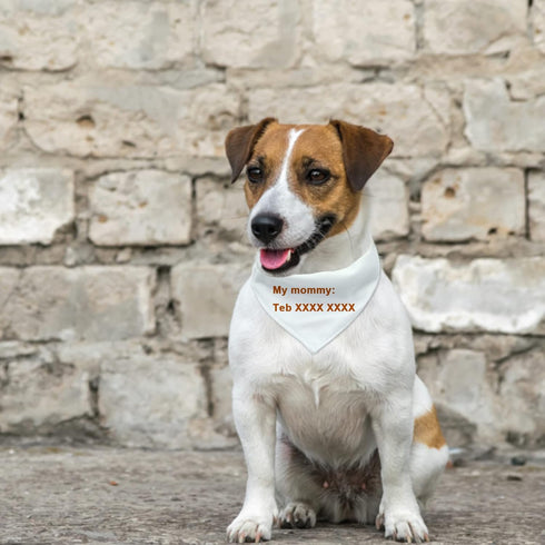 Dog Bandana Collar, 4 PCS White Triangle Dog Bandana with Adjustable Buckle Sublimation Blank DIY Dog Bandanas for Dogs and Cats, S...