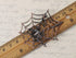 Alilang Copper Tone Light Topaz Colored Rhinestones Antique Spider Web Brooch Pin...