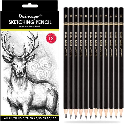 dainayw Professional Drawing Sketching Pencil Set, 12 Pieces Art Pencils 10B, 8B, 6B, 5B, 4B, 3B, 2B, B, HB, 2H, 4H, 6H Graphite Shading Pencils f...