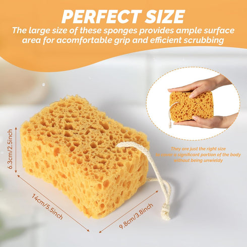 Premium Bath Sponge, 3 Pack Foam Loofah Sponge, Body Sponge for Shower - Natural Bath Sponge for Women Men and Child?Large & Soft?...