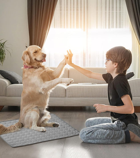 SOMOYA Dogs Self Cooling Mat Pet Cool Pads Blanket Hot Weather Sleeping Kennel Mat,Washable Ice Silk Sleep Mat Pad Non-Toxic Breathable for Large ...