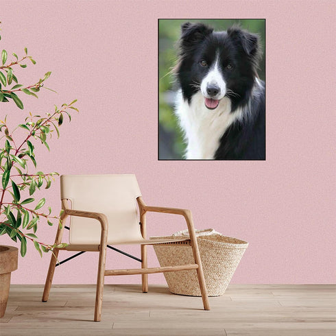 IPISSOI 5D Diamond Painting Collie Dog DIY Round Full Diamond by Number Art Painting Kits Crafts Wall Decor Home Gift 12x16inch...