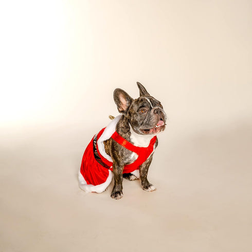 Doggy Parton Red Faux Fur Trimmed Dollys Little Holiday Dress for Pets, Large...