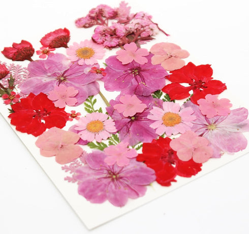 35 Pcs Dried Pressed Flowers for Resin, Pink Real Pressed Flowers Bulk Natural Herbs Kit for Scrapbooking DIY Art Crafts, Epoxy Resin Jewelry Mold...