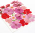 35 Pcs Dried Pressed Flowers for Resin, Pink Real Pressed Flowers Bulk Natural Herbs Kit for Scrapbooking DIY Art Crafts, Epoxy Resin Jewelry Mold...