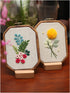 Maydear 3 Pack Embroidery Starter Kit with Pattern, Stamped Cross Stitch Kits for Beginners Adults with Embroidery Hoop and Instructions, Hand Emb...