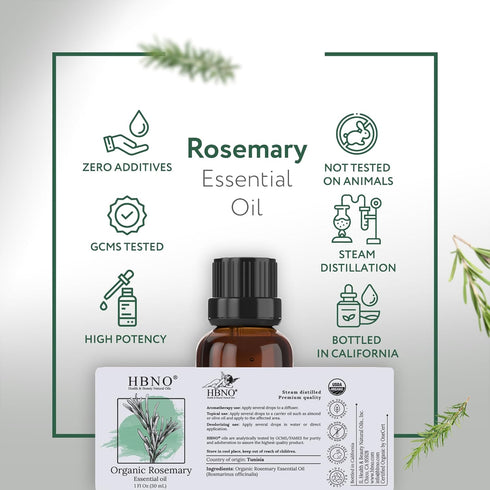 HBNO® California Bottled Organic Rosemary Essential Oil 1 fl oz (30ml) - USDA Certified Organic Rosemary Essential Oil for Aromatherapy, Soap Maki...