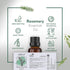 HBNO® California Bottled Organic Rosemary Essential Oil 1 fl oz (30ml) - USDA Certified Organic Rosemary Essential Oil for Aromatherapy, Soap Maki...